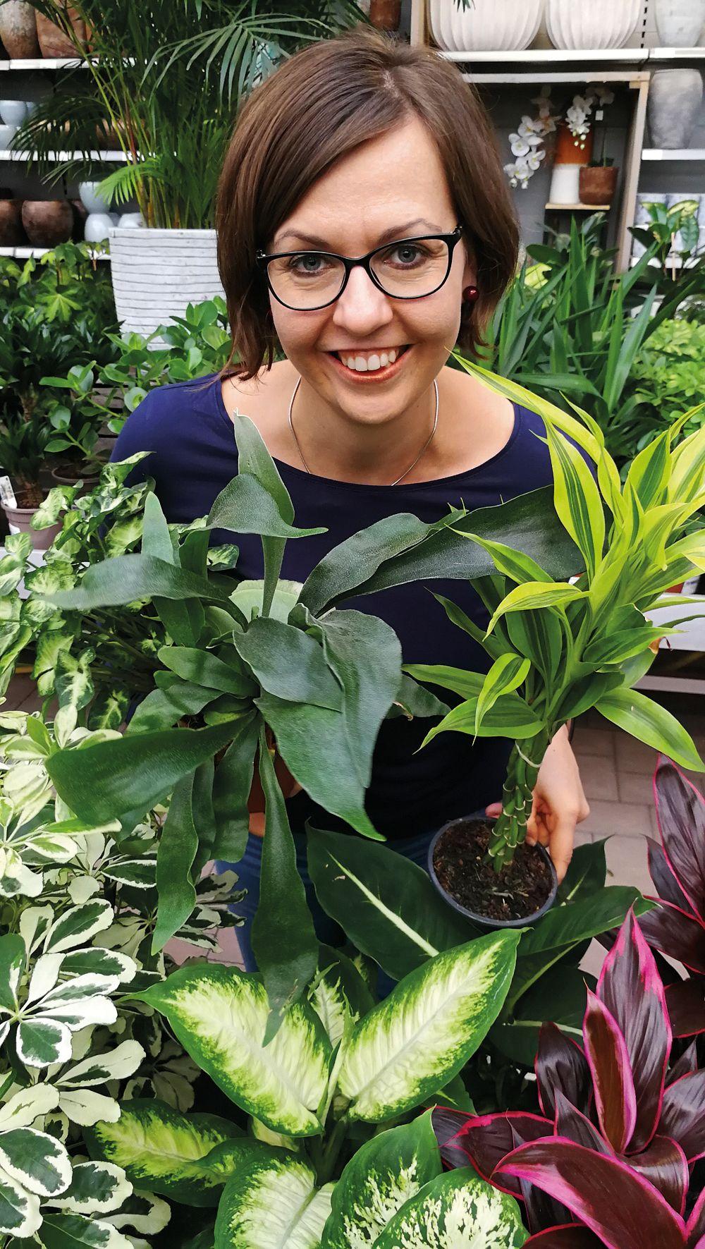 Autorenbild Pflanzen ganz privat