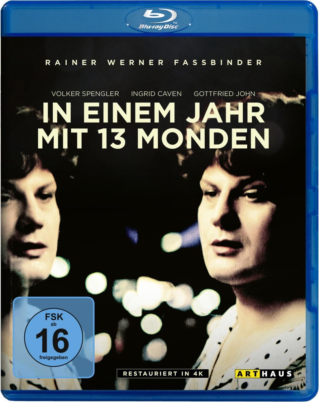 Vorderes Coverbild In einem Jahr mit 13 Monden