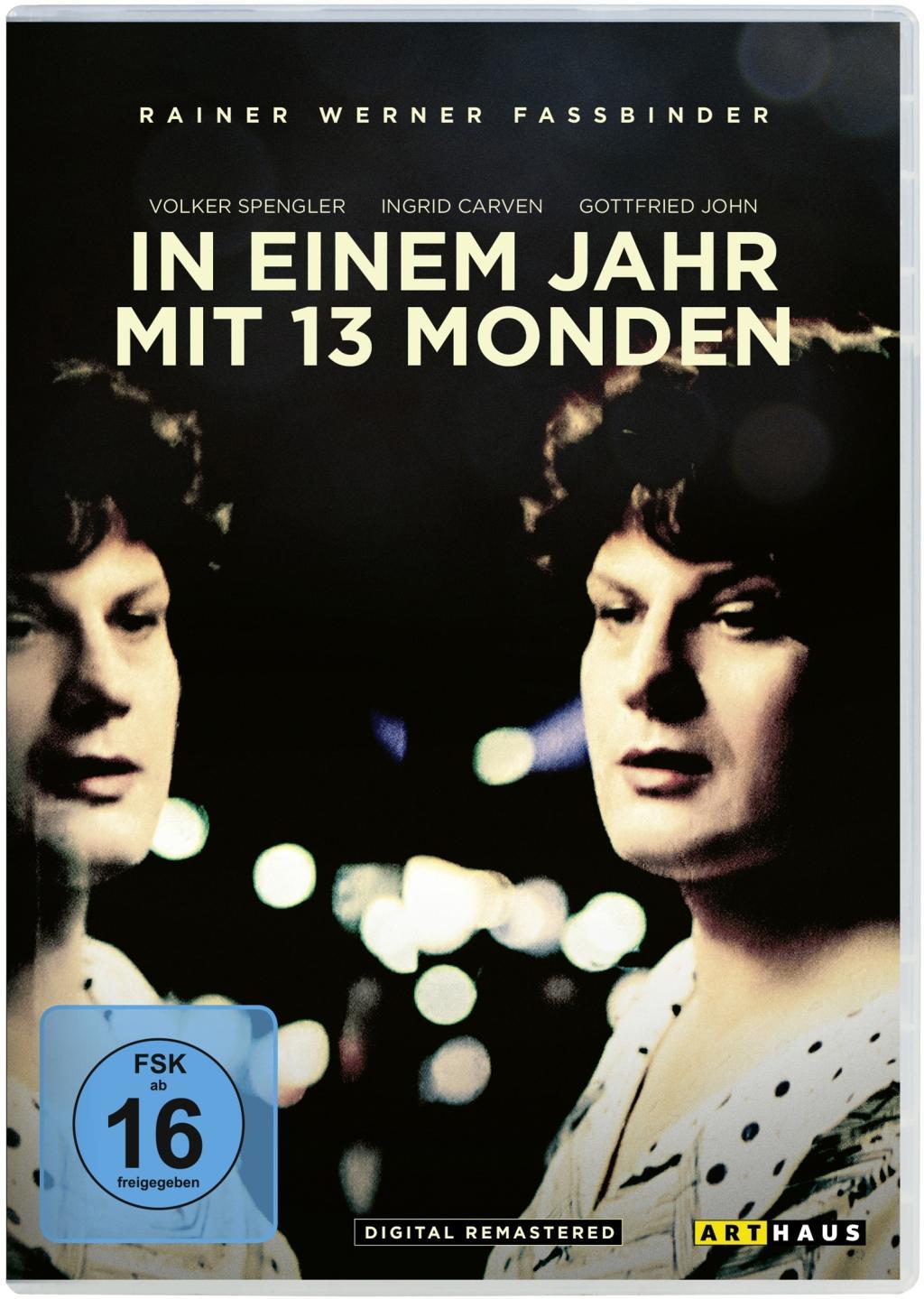 Vorderes Coverbild In einem Jahr mit 13 Monden