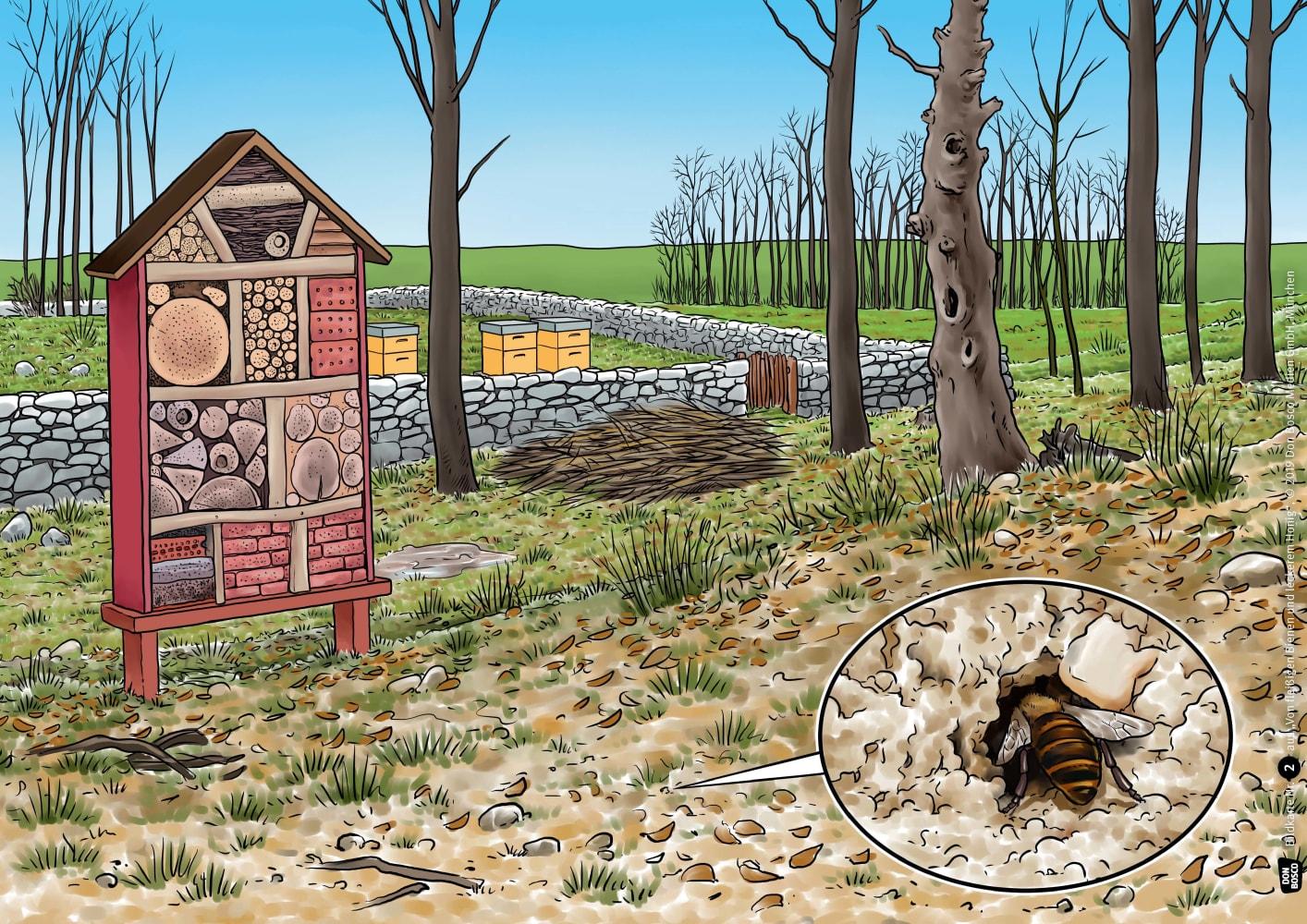 Beispielinhalt (Bild) Von fleißigen Bienen und leckerem Honig. Kamishibai Bildkartenset.