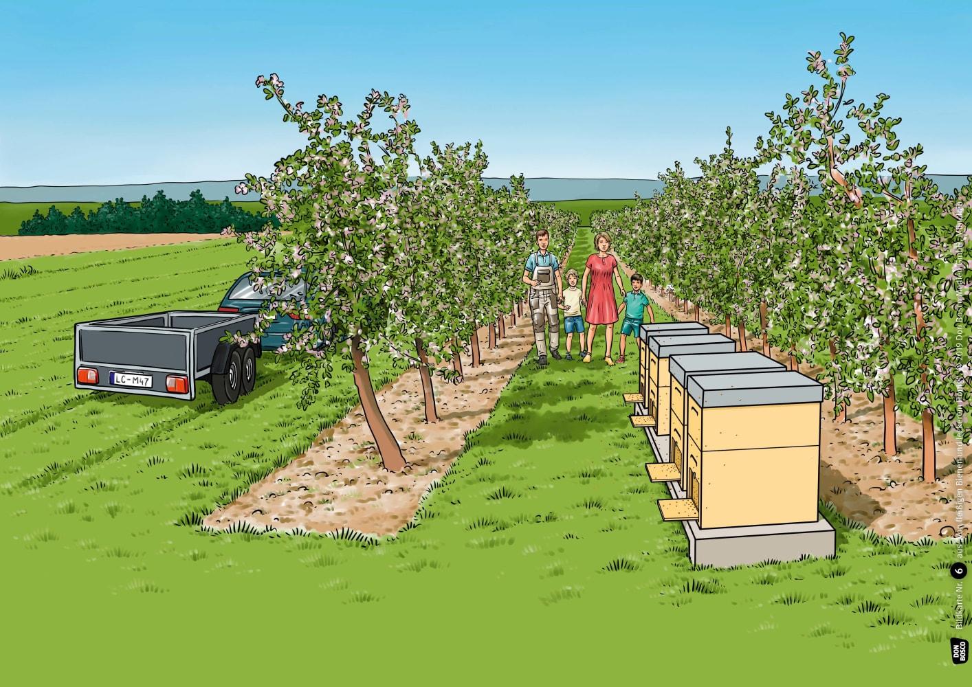 Beispielinhalt (Bild) Von fleißigen Bienen und leckerem Honig. Kamishibai Bildkartenset.