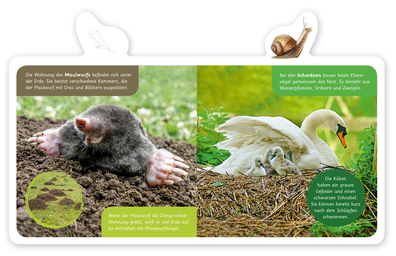 Beispielinhalt (Bild) Mein kleines Tier-Lexikon - Wo wohnen Tiere?