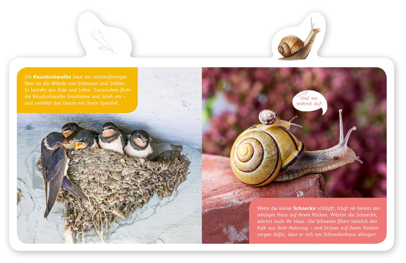 Beispielinhalt (Bild) Mein kleines Tier-Lexikon - Wo wohnen Tiere?