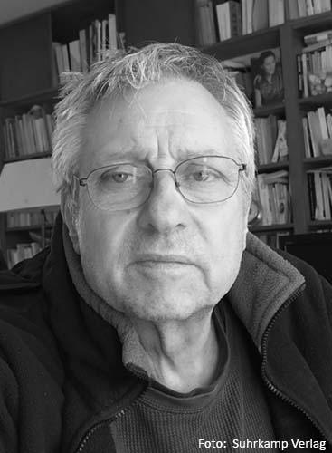 Autorenbild »Mikrolithen sinds, Steinchen«