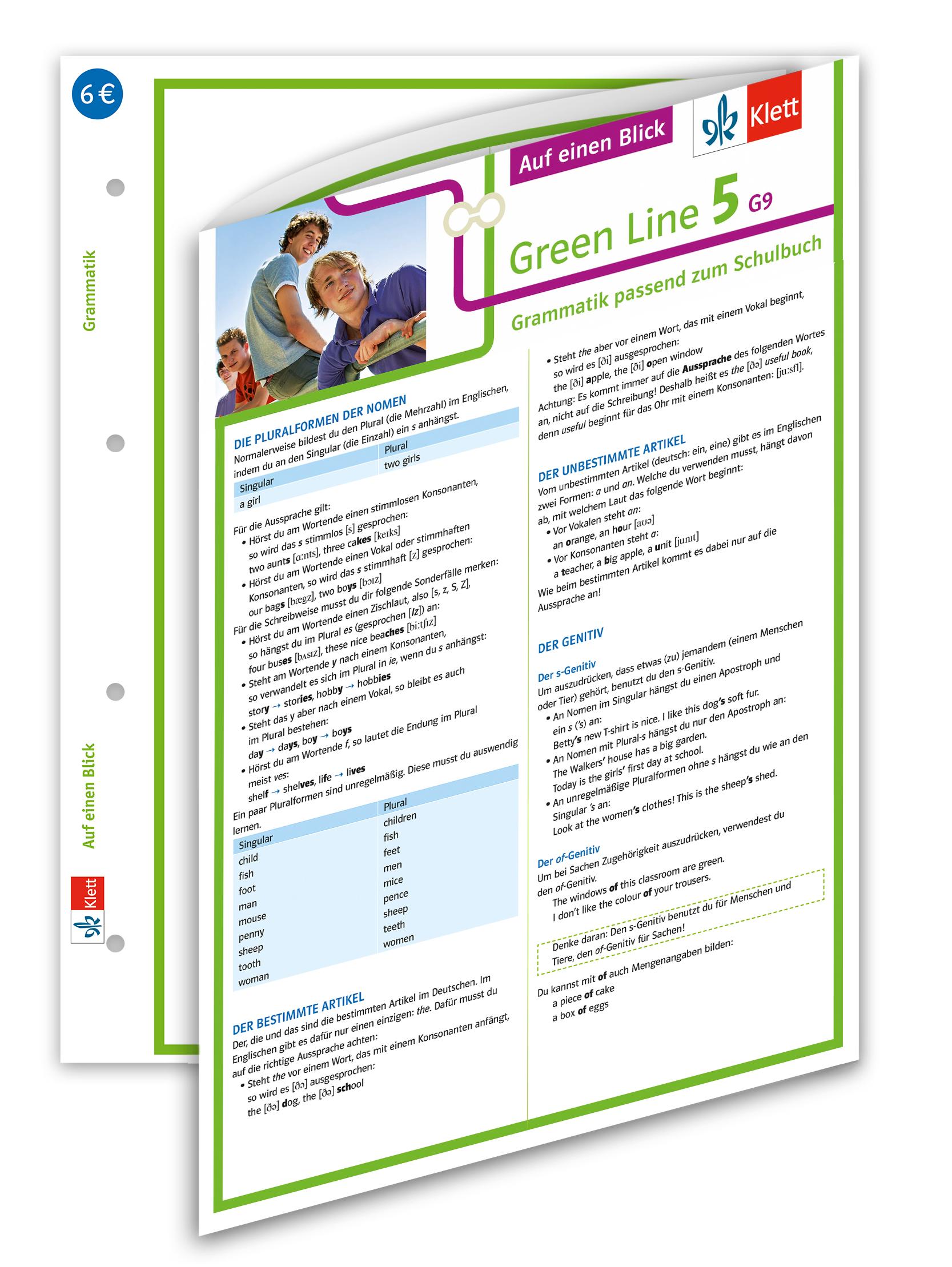 Vorderes Coverbild Green Line 5 G9 Klasse 9 Auf einen Blick. Grammatik passend zum Schulbuch