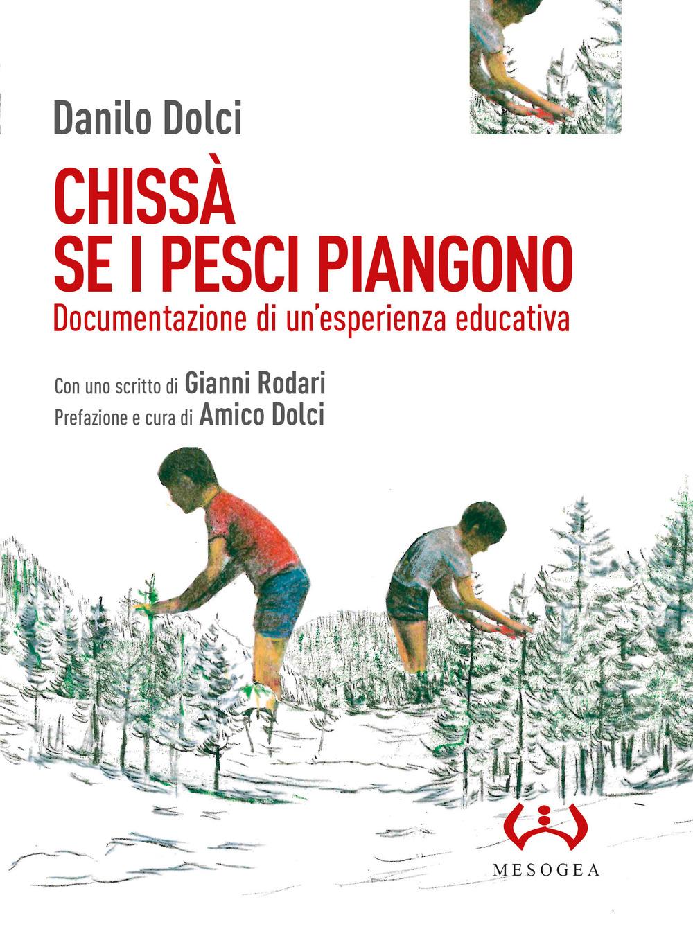 Vorderes Coverbild Chissà se i pesci piangono. Documentazione di un'esperienza educativa