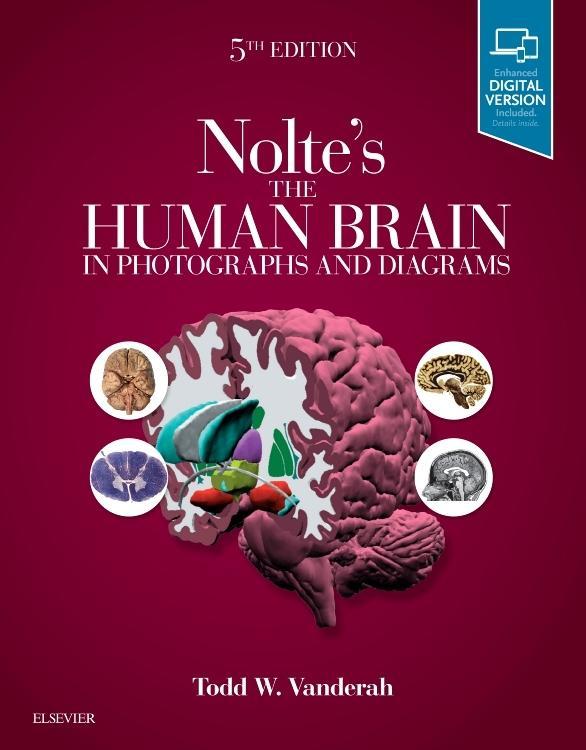 Vorderes Coverbild Nolte's the Human Brain in Photographs and Diagrams