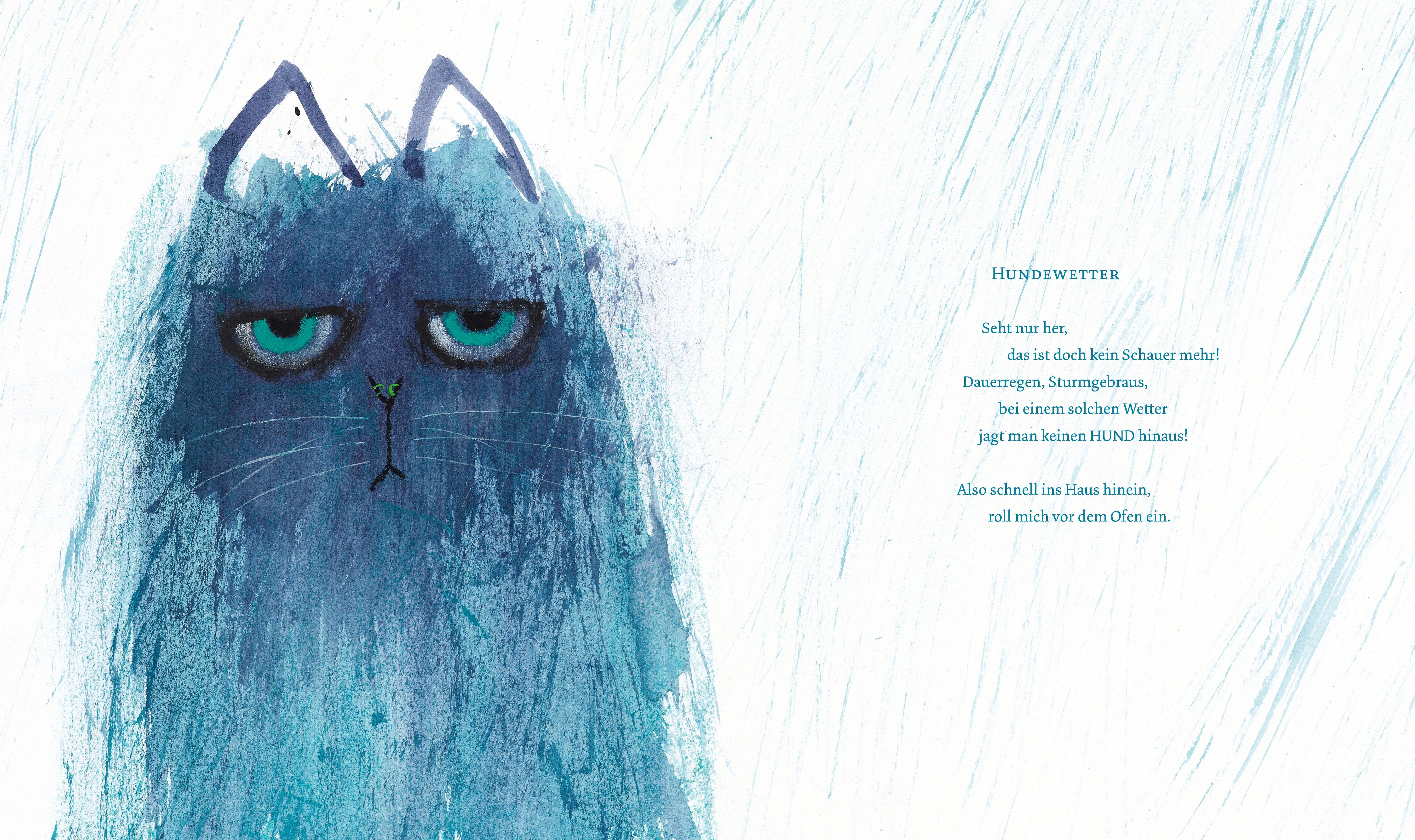 Beispielinhalt (Bild) Einmal Katze sein