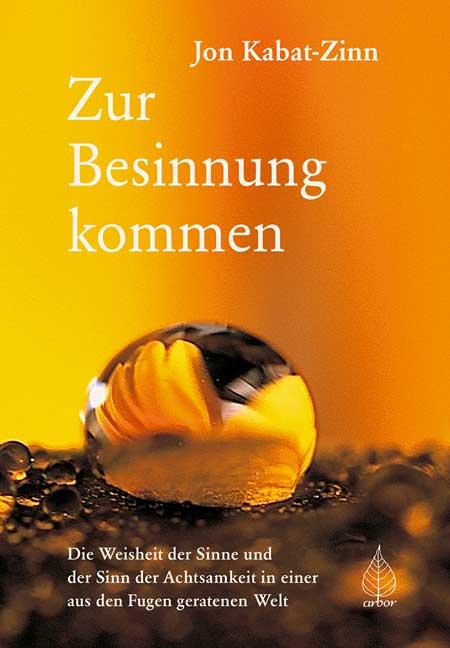 Vorderes Coverbild Zur Besinnung kommen