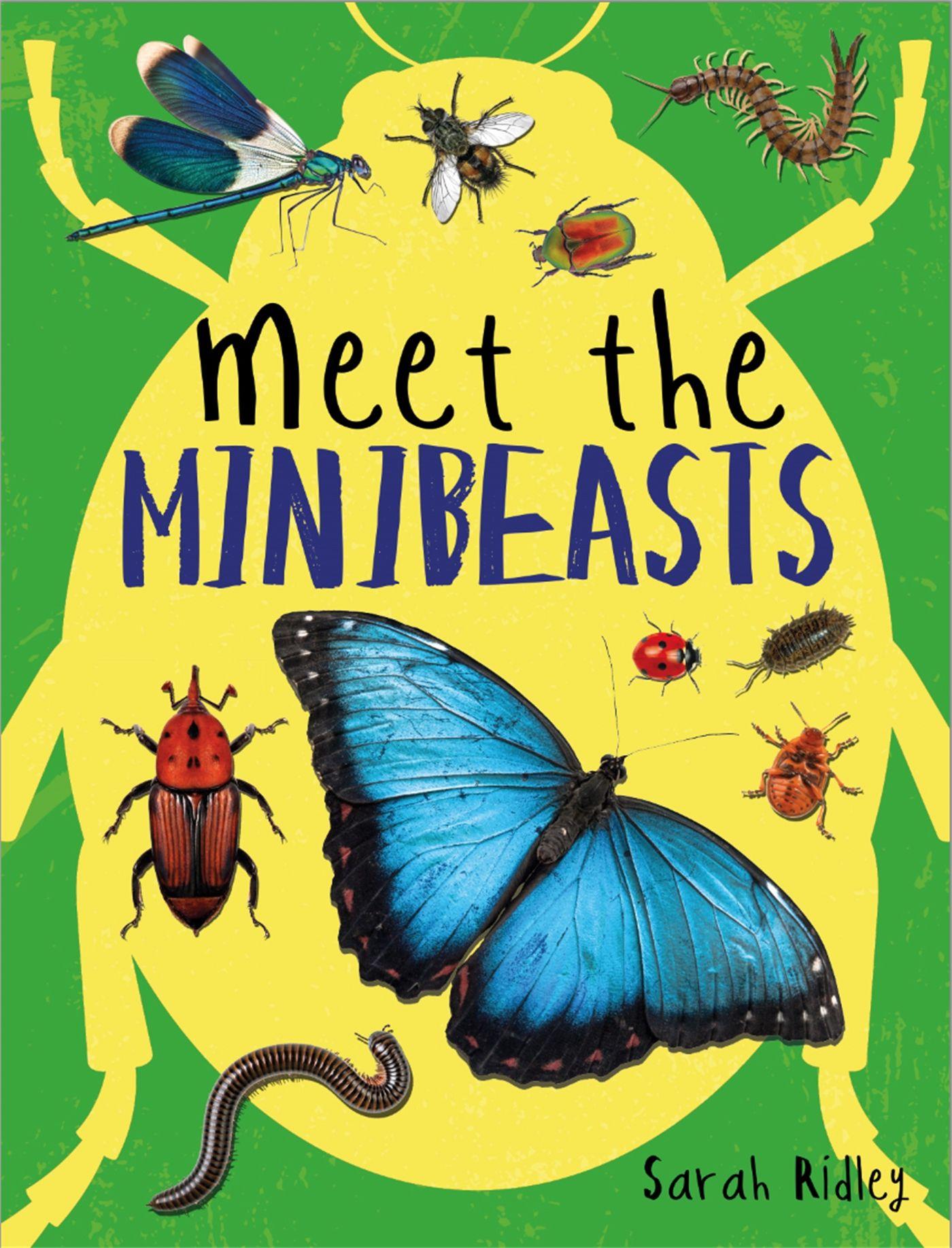 Vorderes Coverbild Meet the Minibeasts
