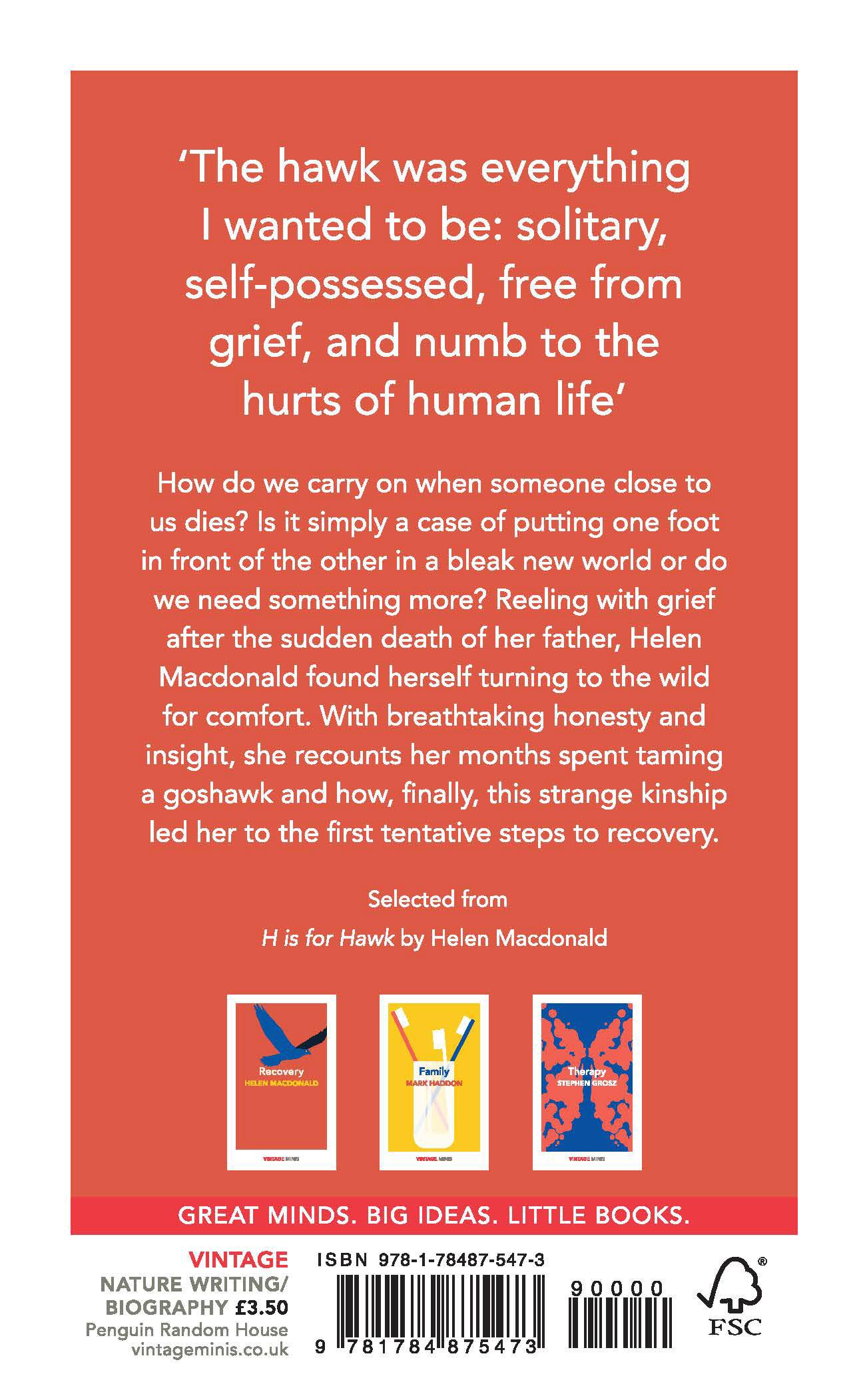 Rückseitencover Recovery