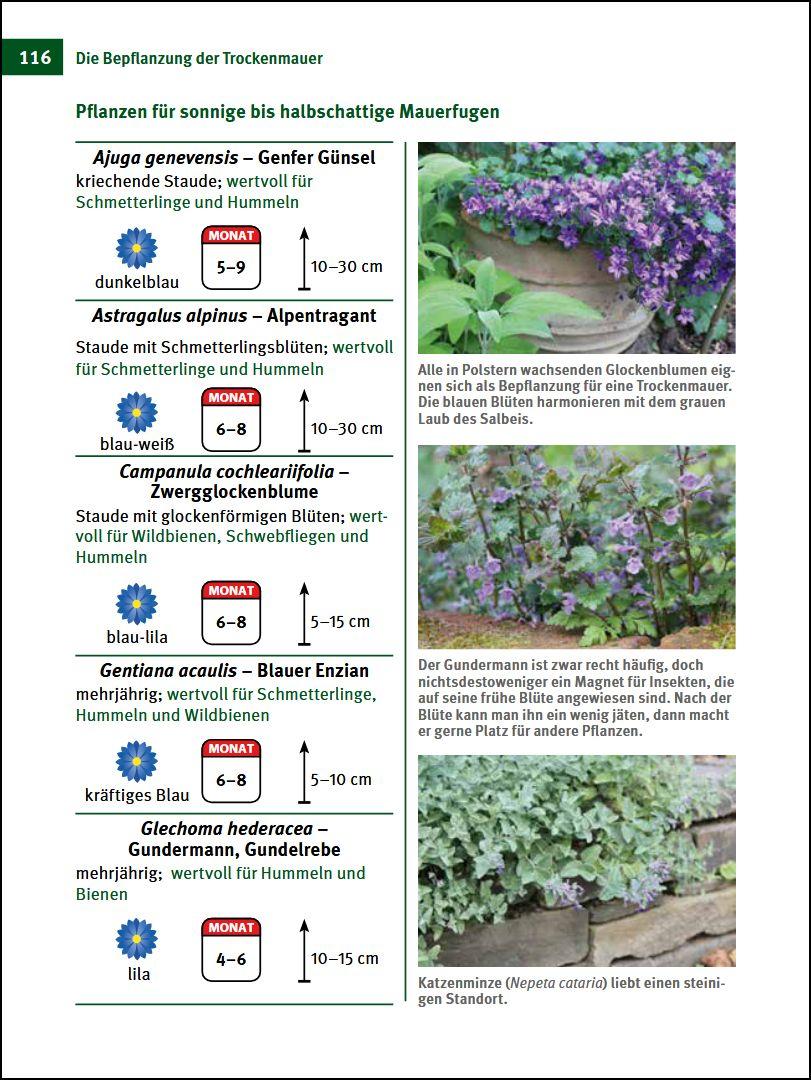 Beispielinhalt (Bild) Trockenmauern