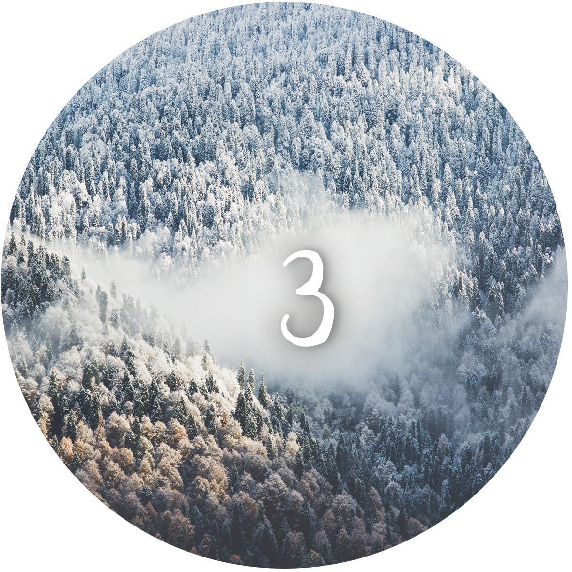 Beispielinhalt (Bild) Adventskalender in der Dose. 24 Momente der Achtsamkeit