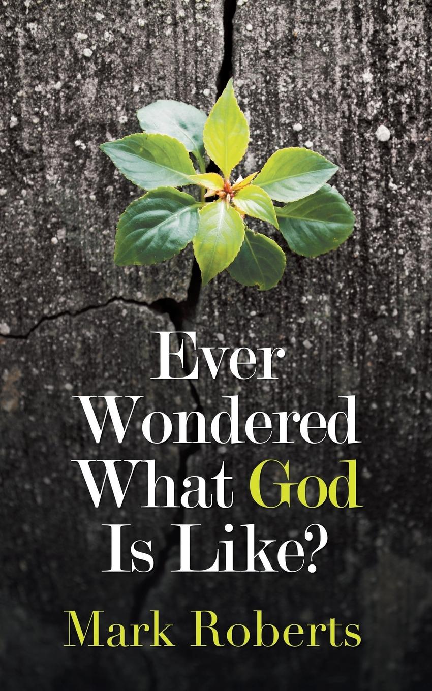 Vorderes Coverbild Ever Wondered What God Is Like?