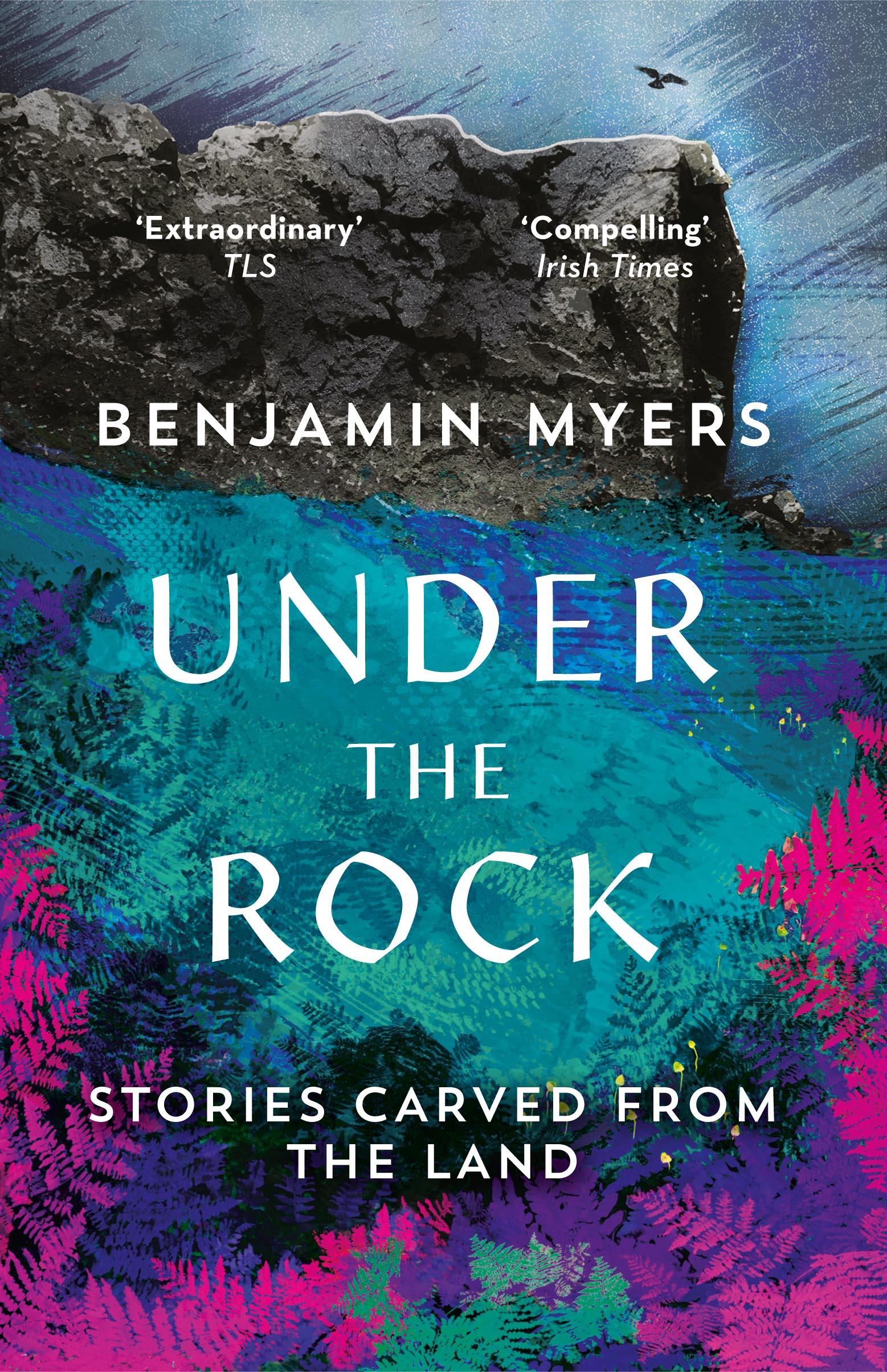 Vorderes Coverbild Under the Rock