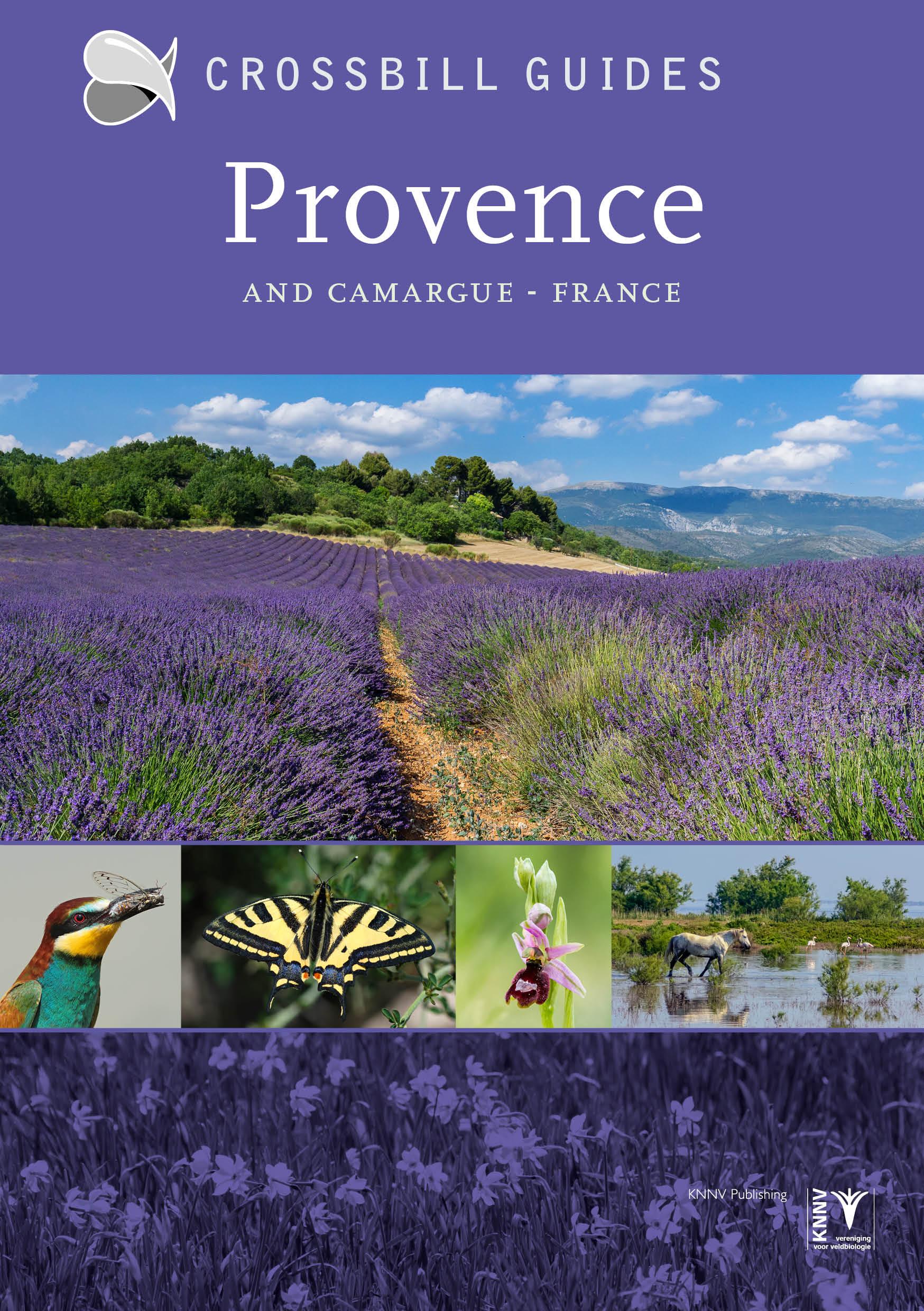 Vorderes Coverbild Provence