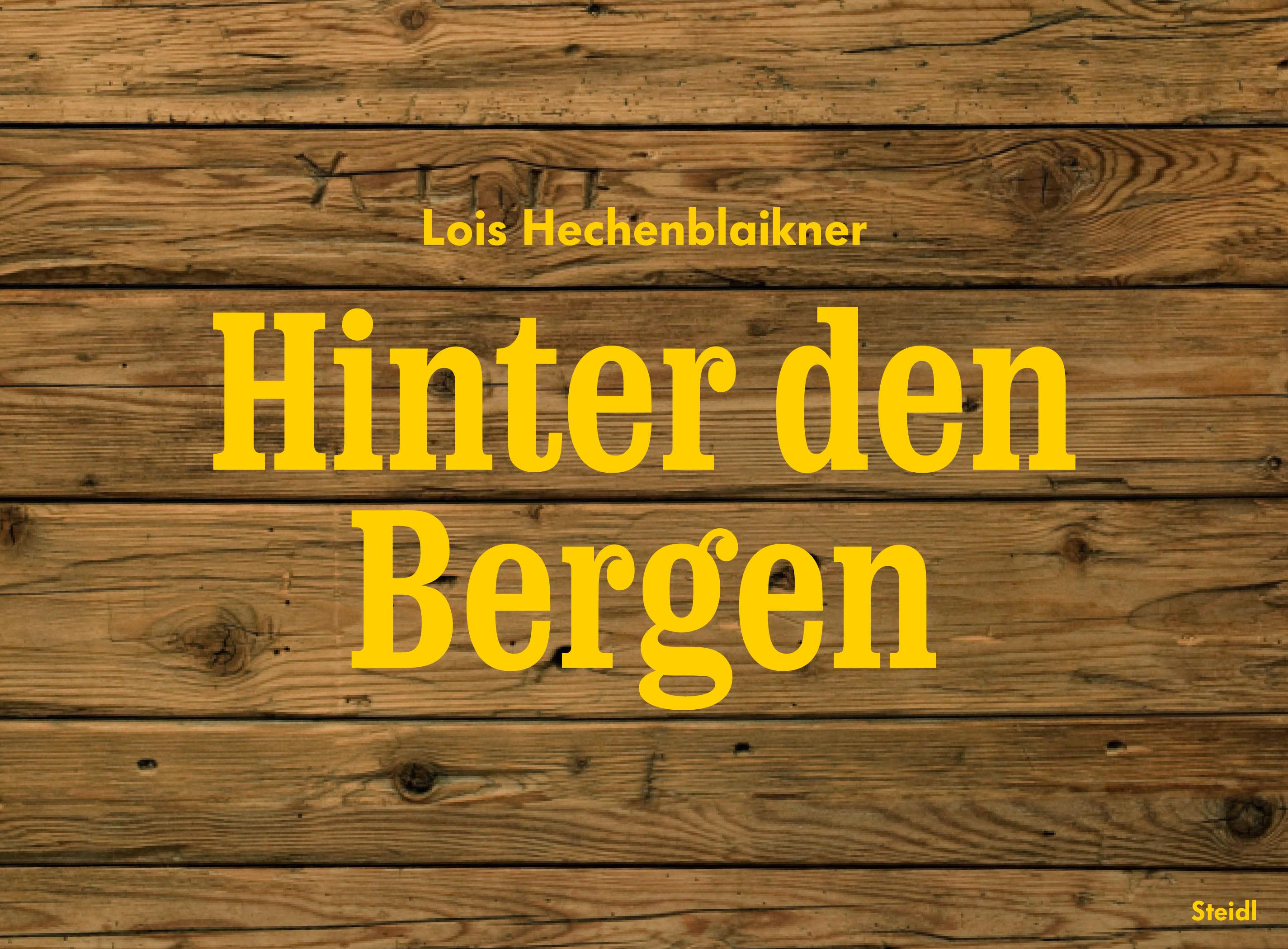Vorderes Coverbild Hinter den Bergen