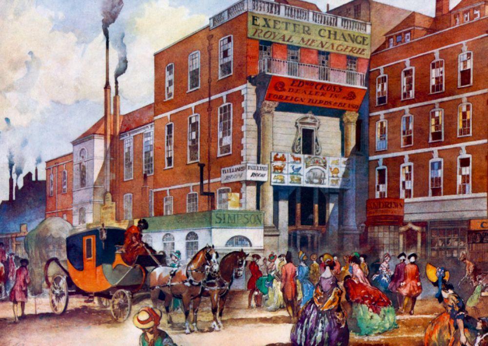 Beispielinhalt (Bild) Sinn und Sinnlichkeit