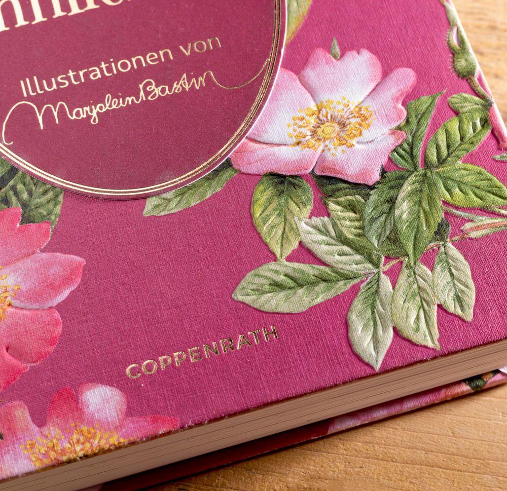 Beispielinhalt (Bild) Sinn und Sinnlichkeit