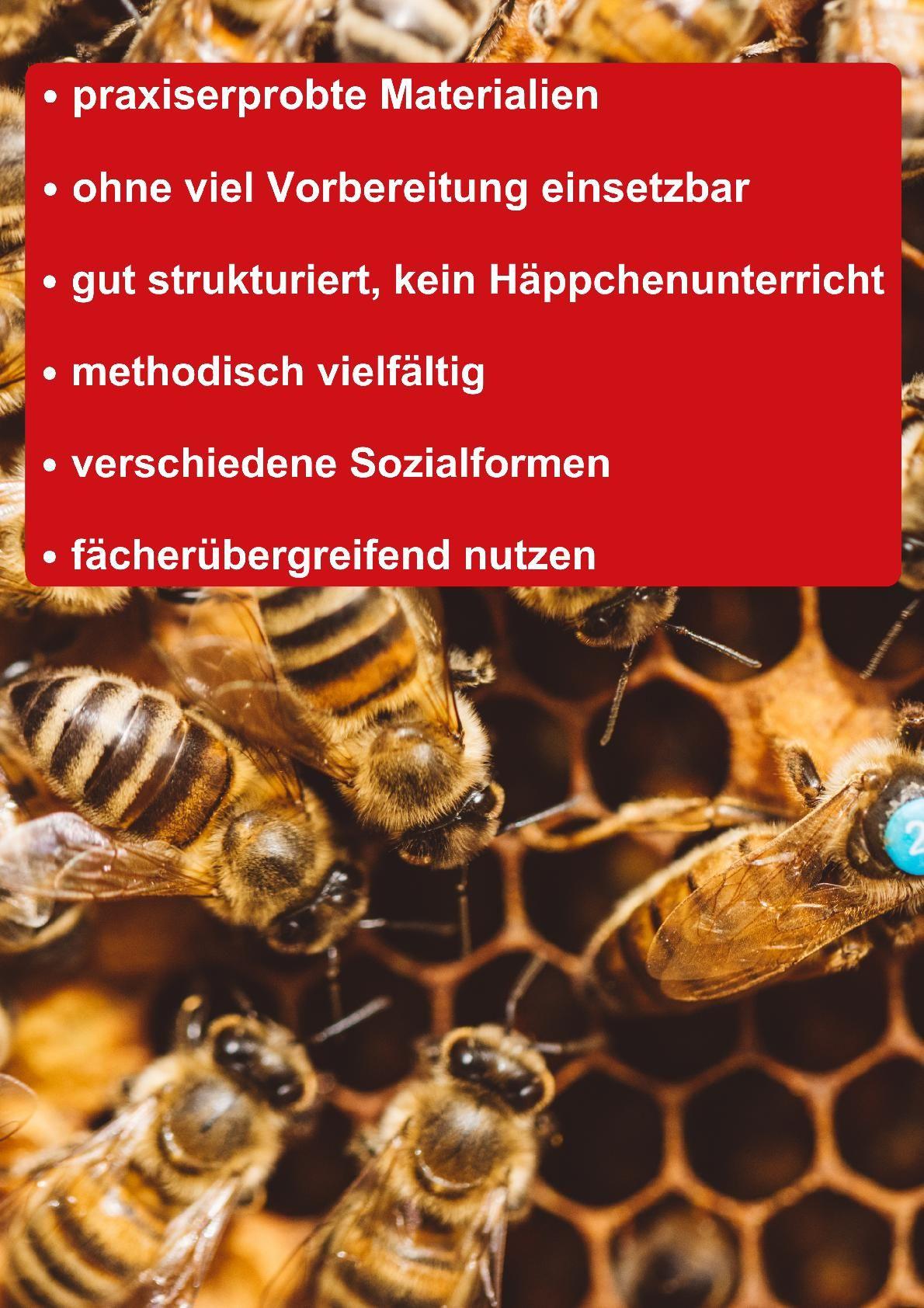 Beispielinhalt (Bild) Themenheft Bienen