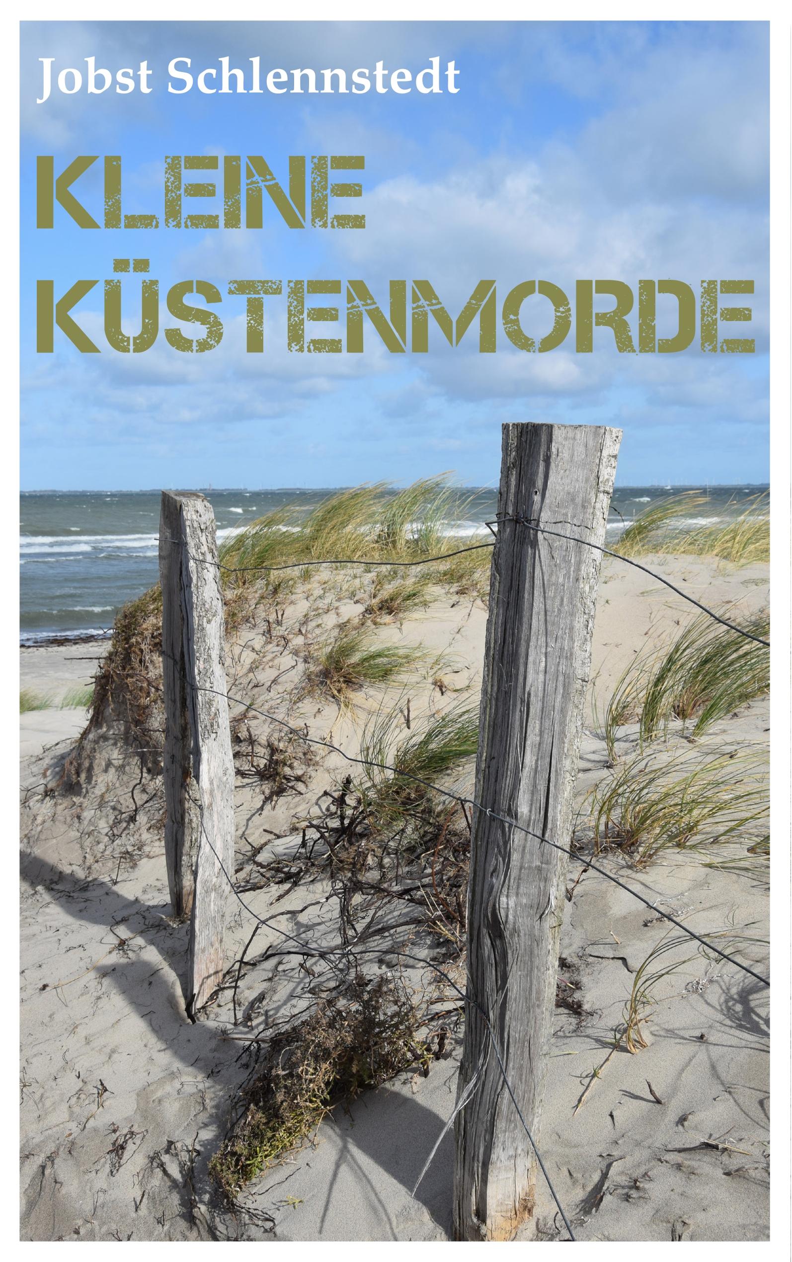 Vorderes Coverbild Kleine Küstenmorde