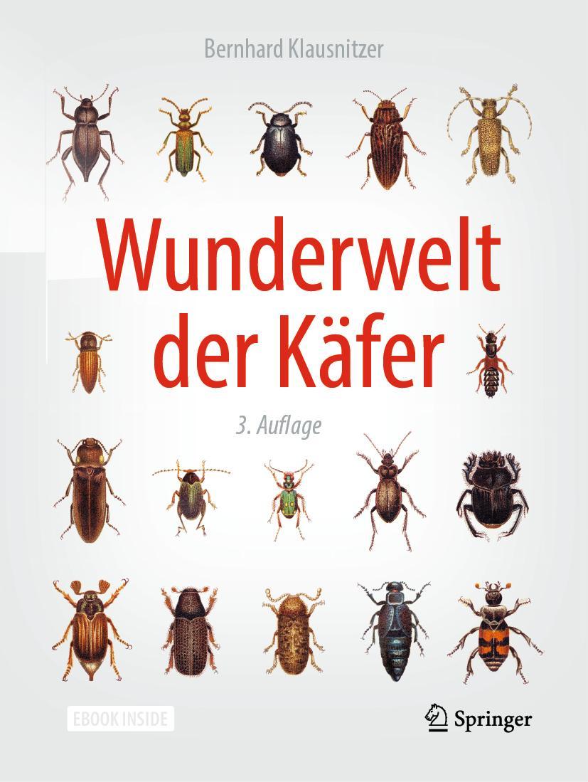 Vorderes Coverbild Wunderwelt der Käfer