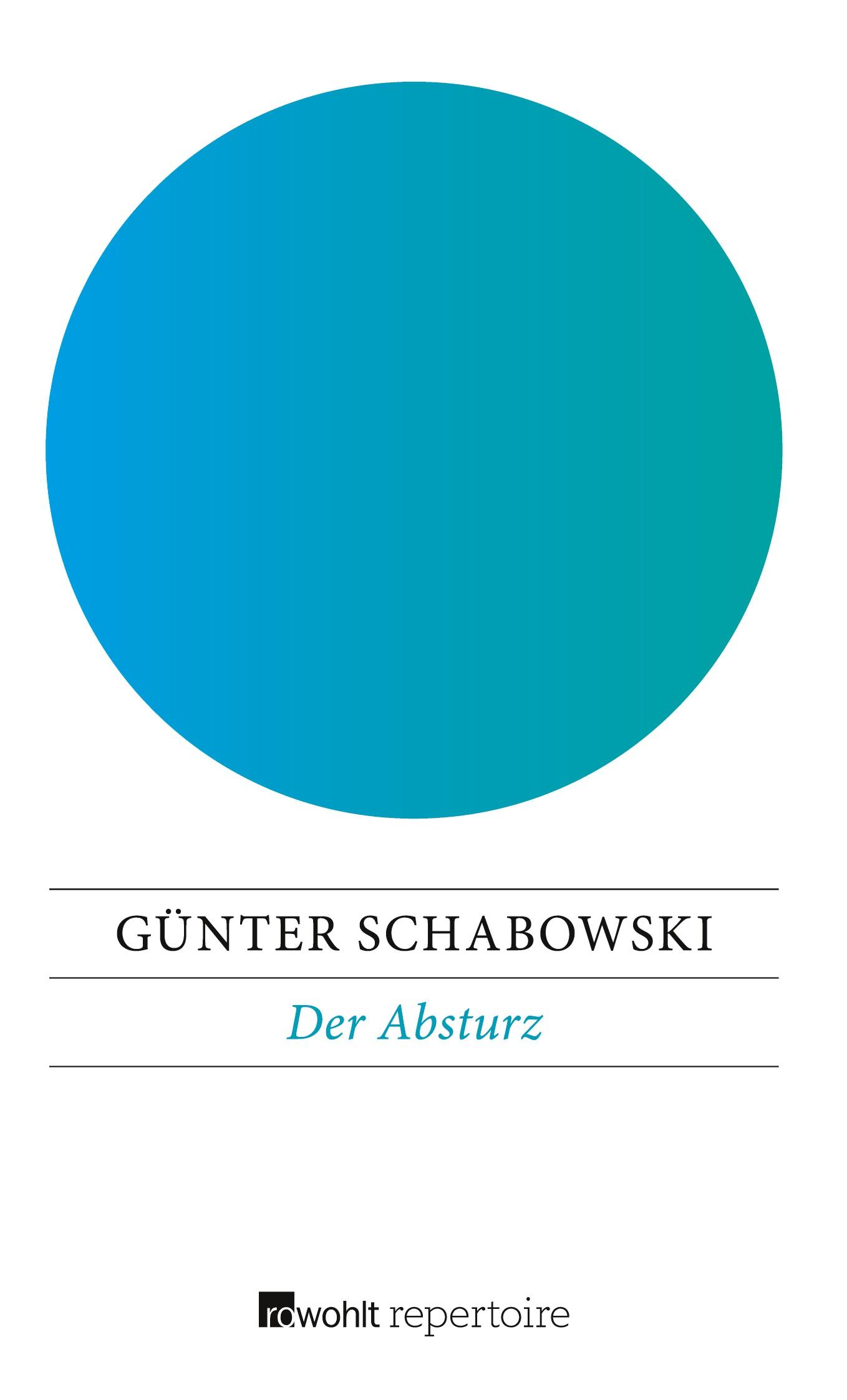 Vorderes Coverbild Der Absturz