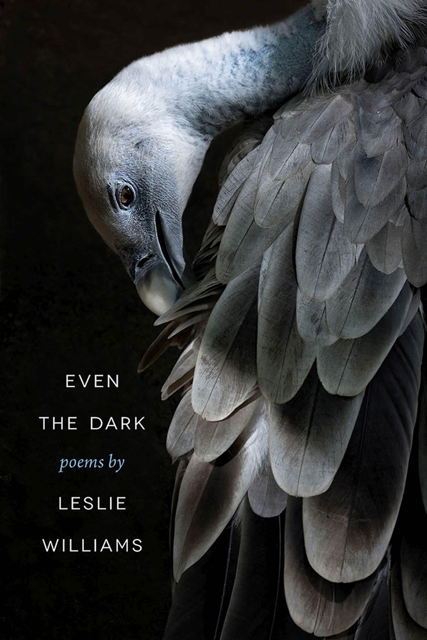 Vorderes Coverbild Even the Dark