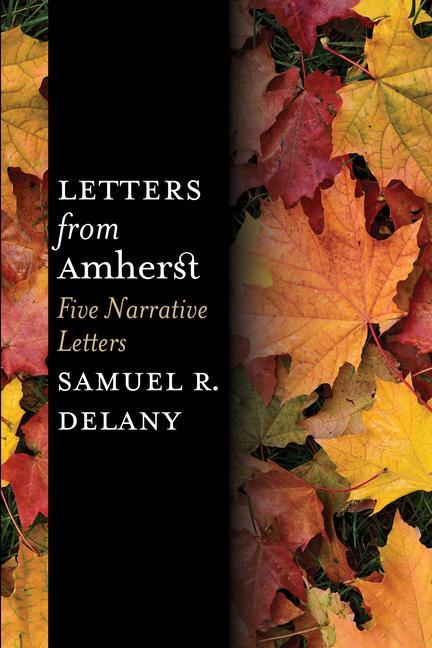 Vorderes Coverbild Letters from Amherst