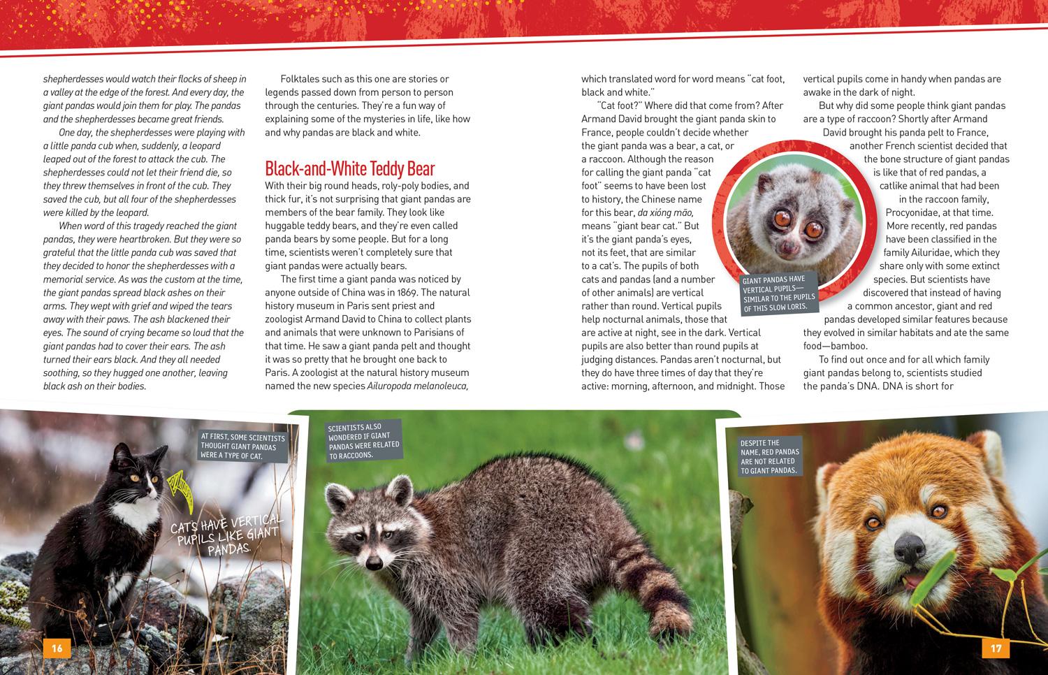 Beispielinhalt (Bild) Absolute Expert: Pandas