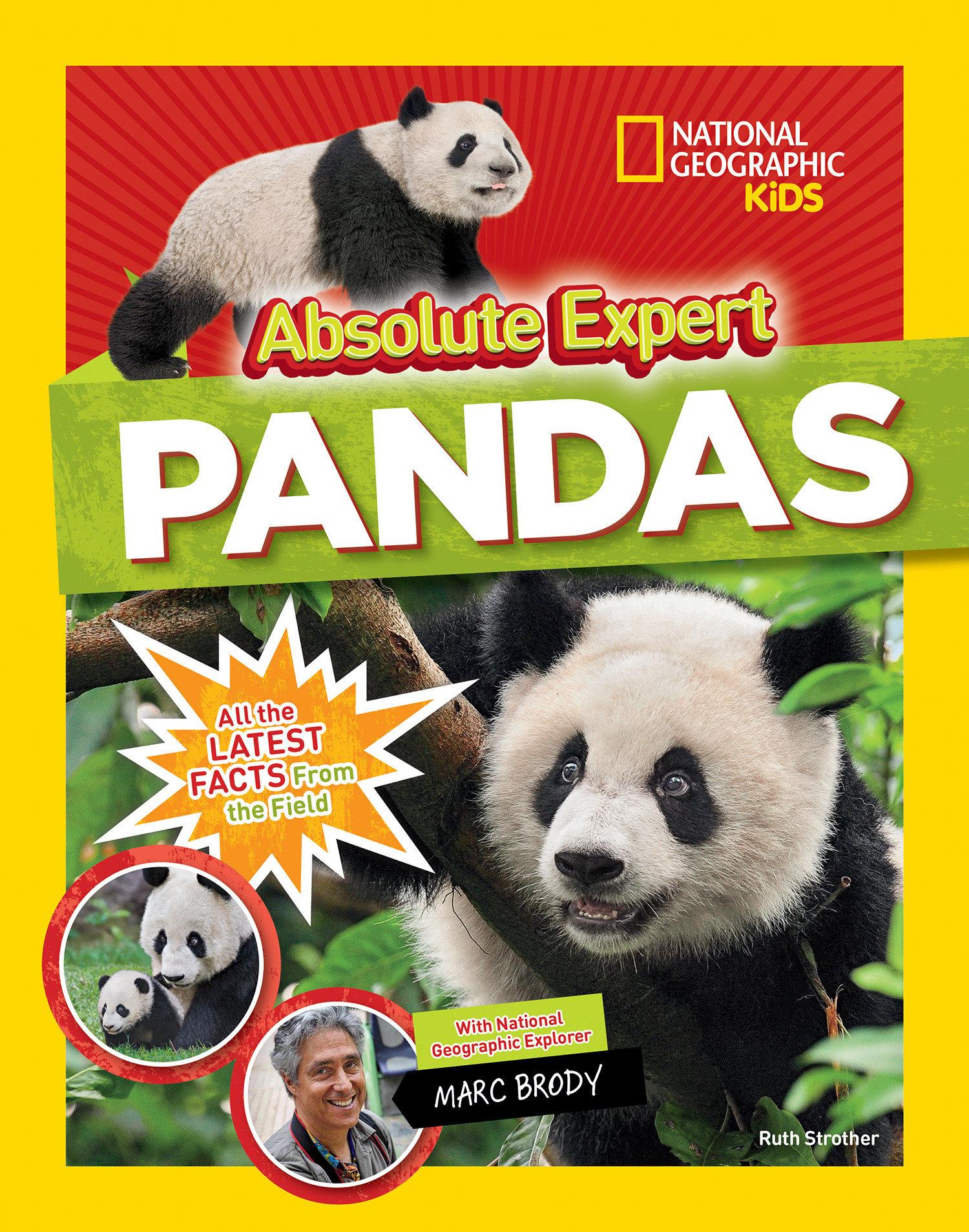 Vorderes Coverbild Absolute Expert: Pandas