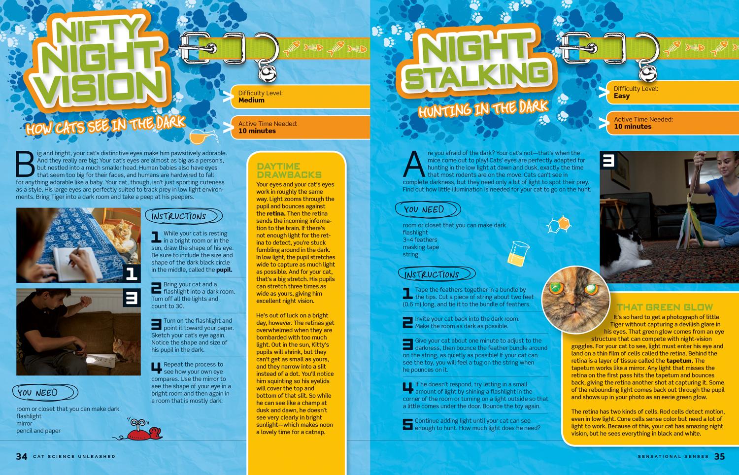 Beispielinhalt (Bild) Cat Science Unleashed