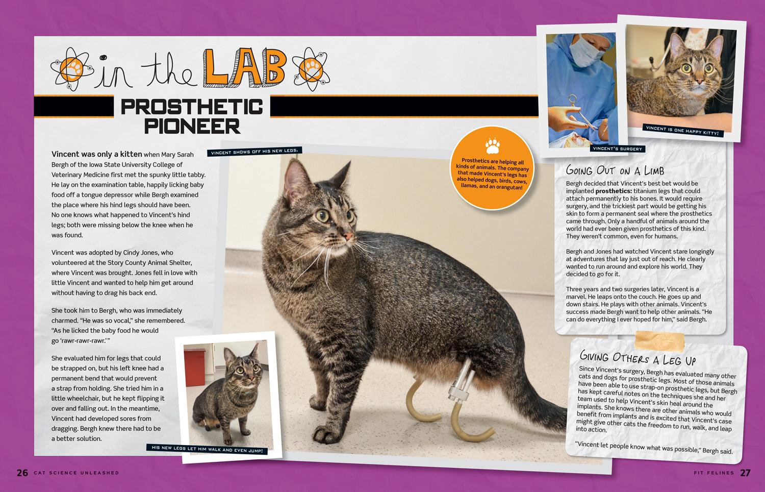 Beispielinhalt (Bild) Cat Science Unleashed