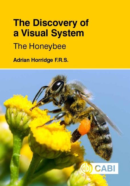 Vorderes Coverbild The Discovery of a Visual System - The Honeybee