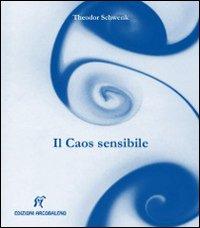Vorderes Coverbild Il caos sensibile. Fluente creazione di forme nell'acqua e nell'aria