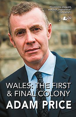 Vorderes Coverbild Wales: The First and Final Colony