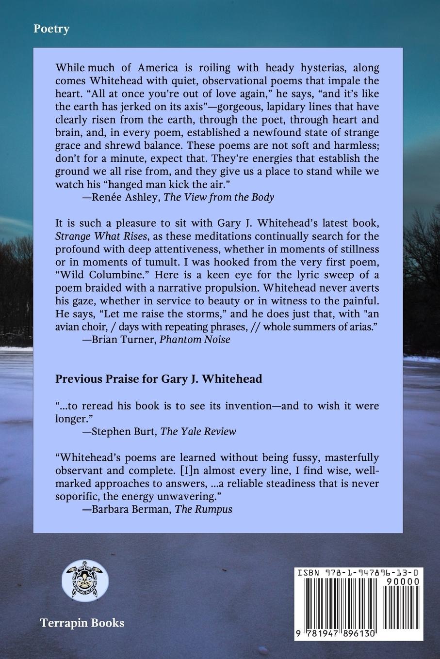 Rückseitencover Strange What Rises