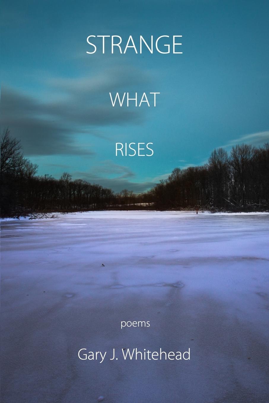 Vorderes Coverbild Strange What Rises