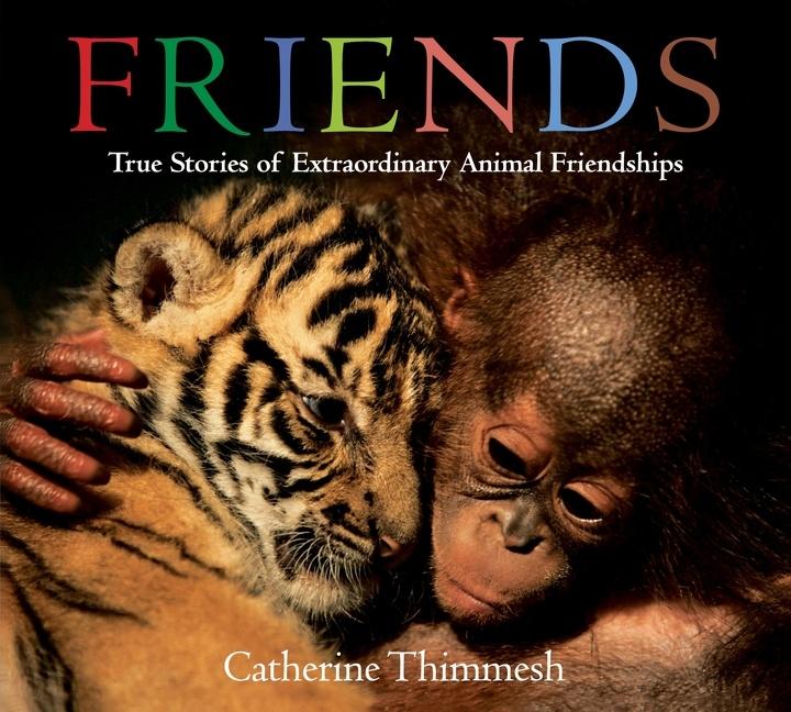 Vorderes Coverbild Friends Board Book