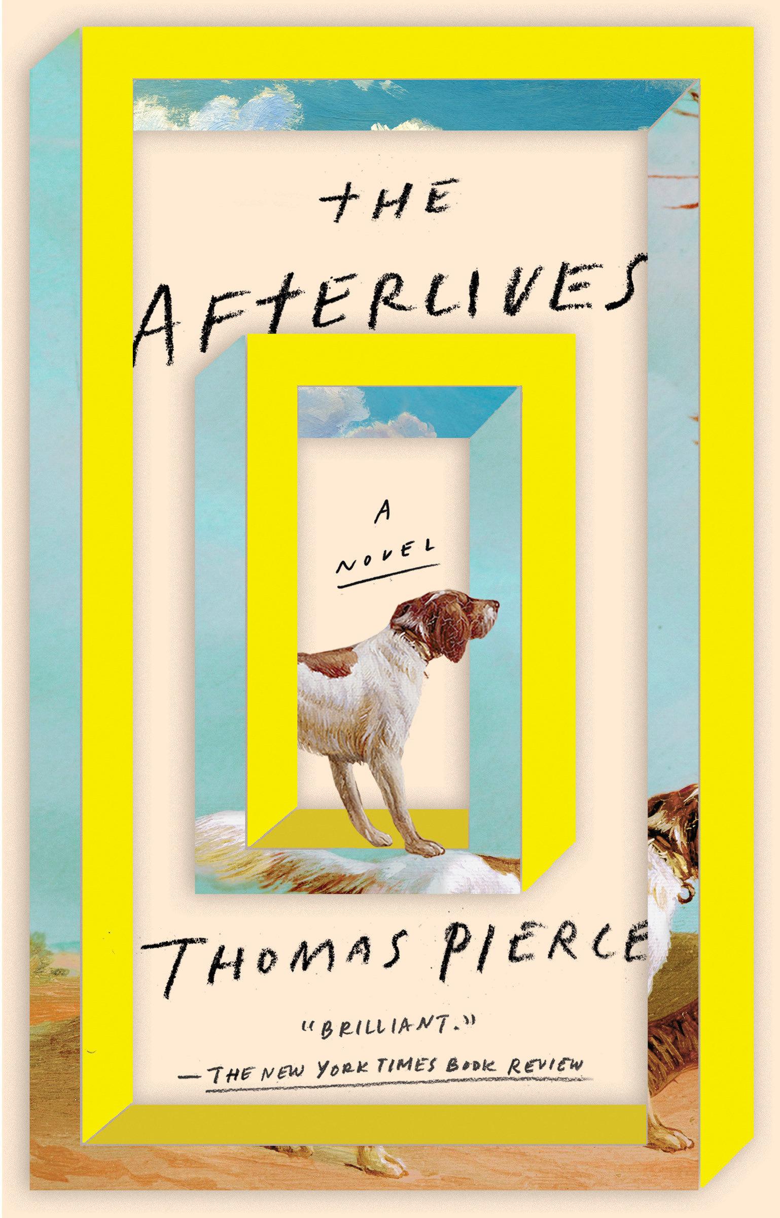 Vorderes Coverbild The Afterlives