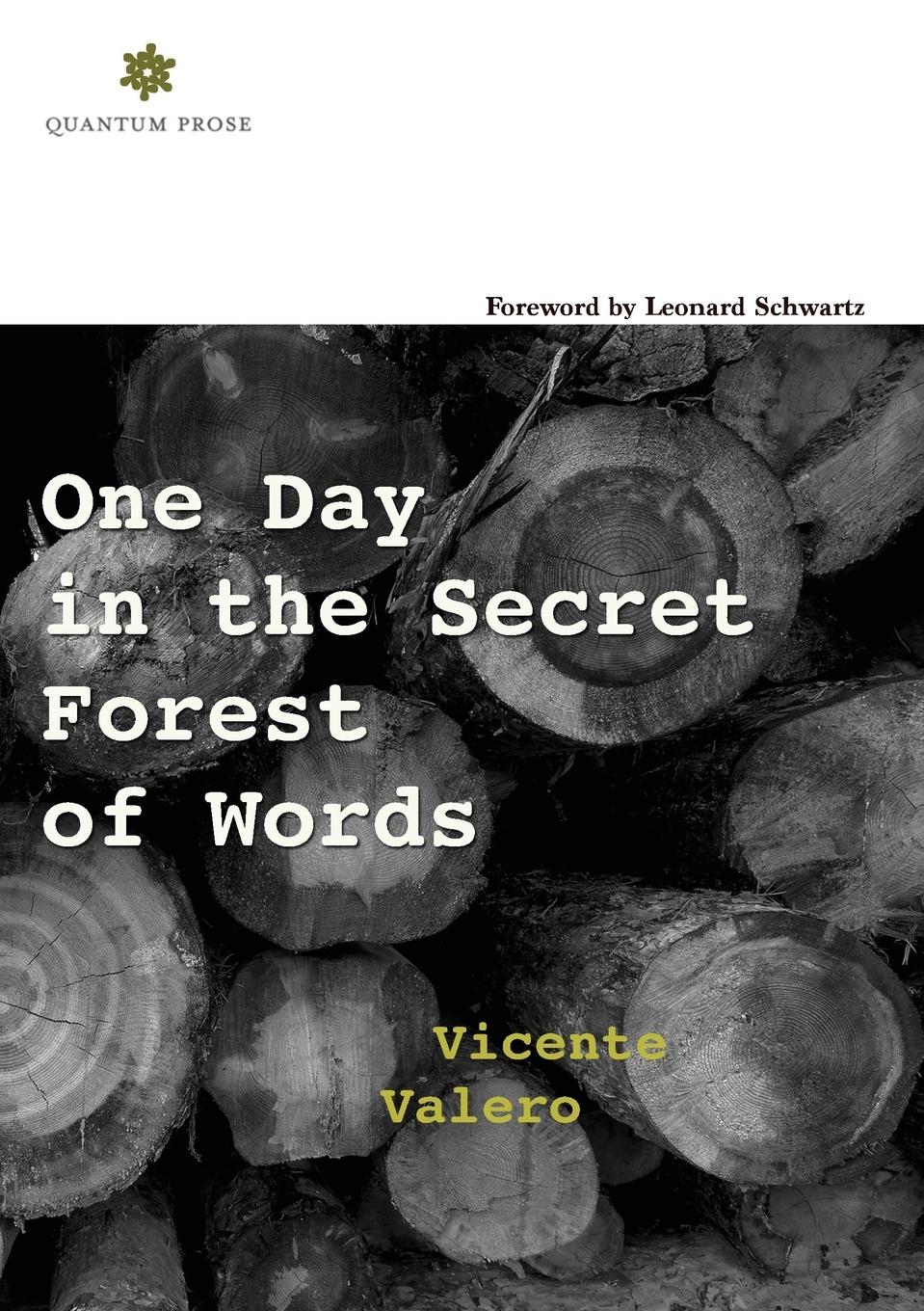 Vorderes Coverbild One Day in the Secret Forest of Words