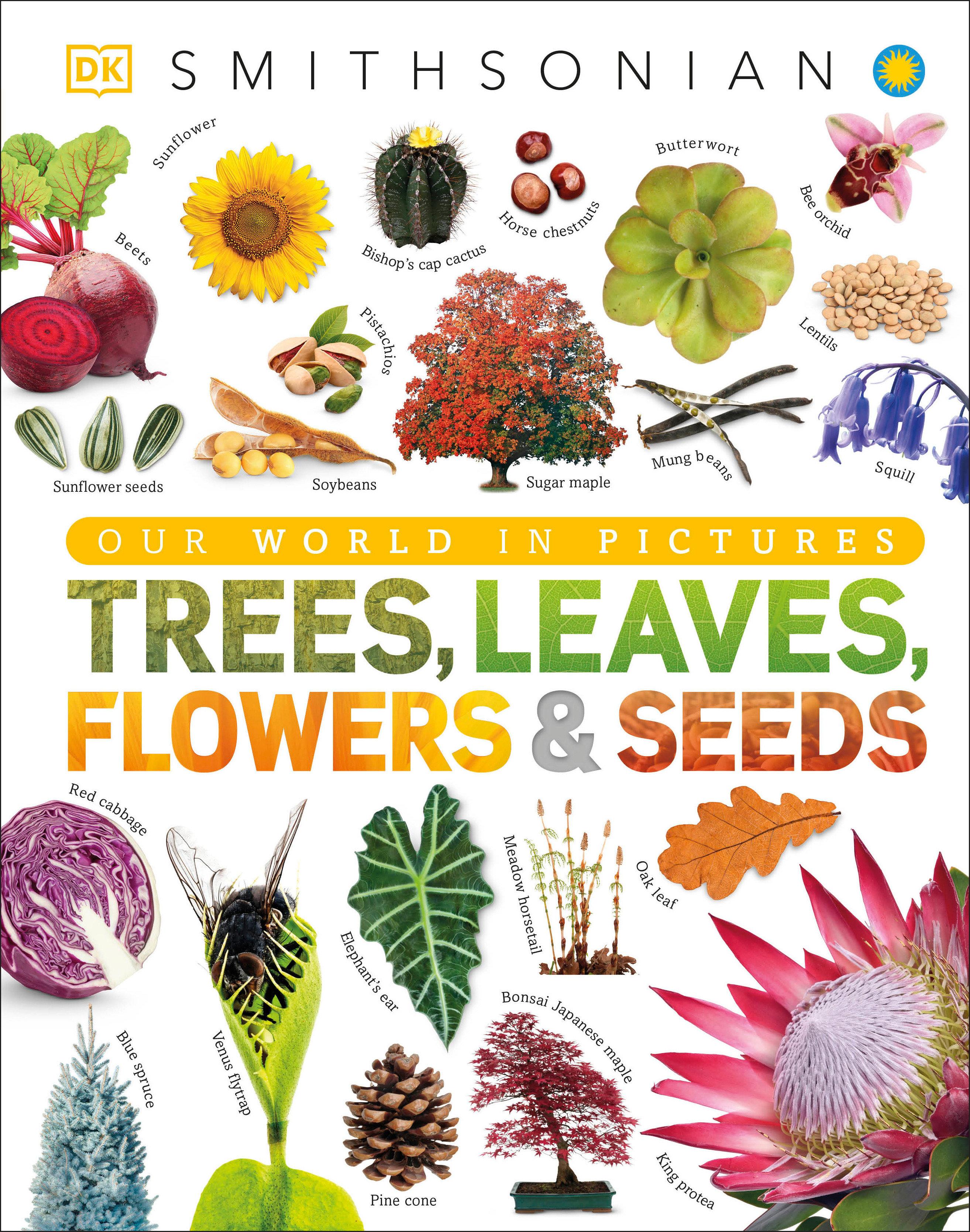 Vorderes Coverbild Trees, Leaves, Flowers and Seeds