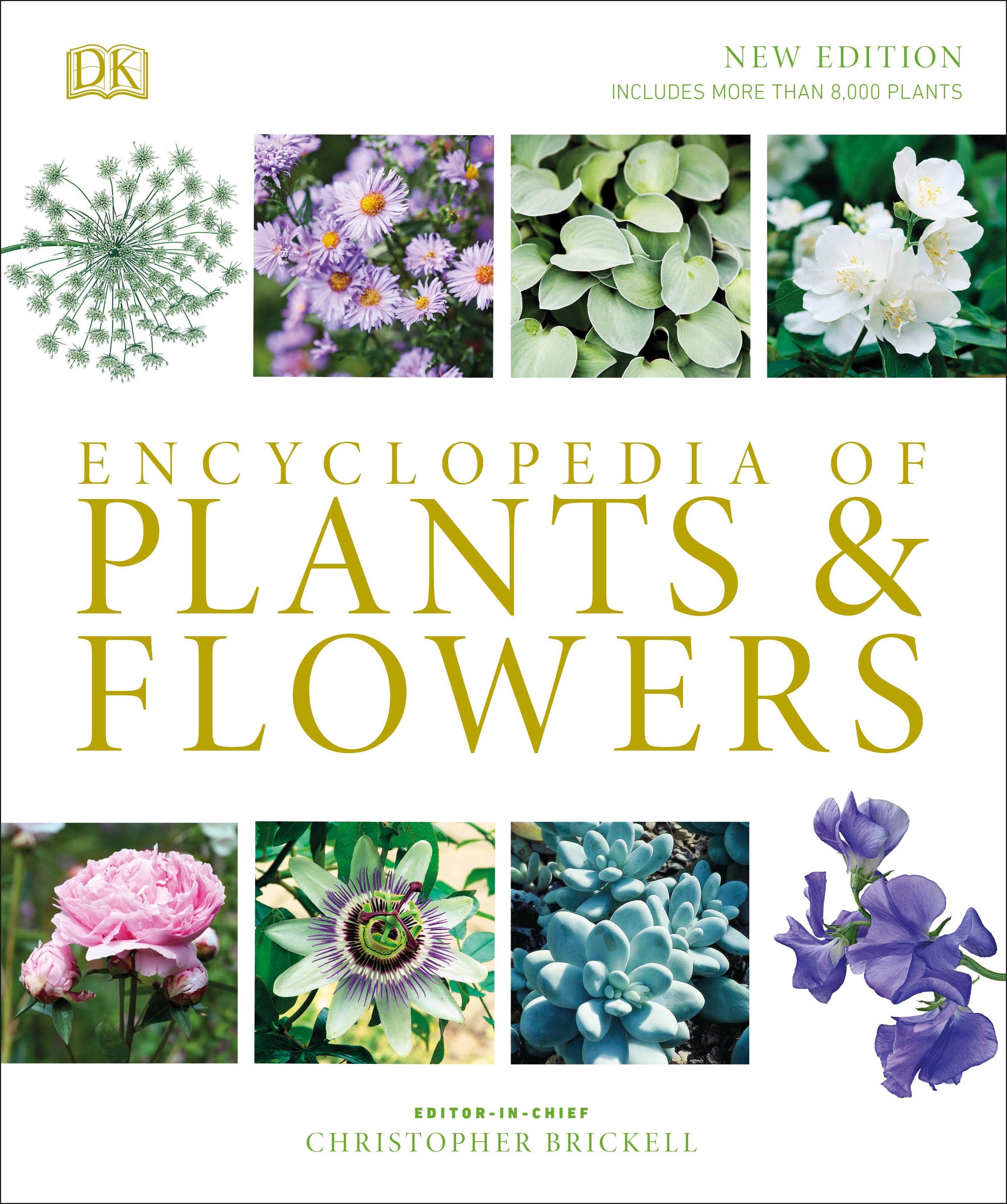 Vorderes Coverbild Encyclopedia of Plants and Flowers