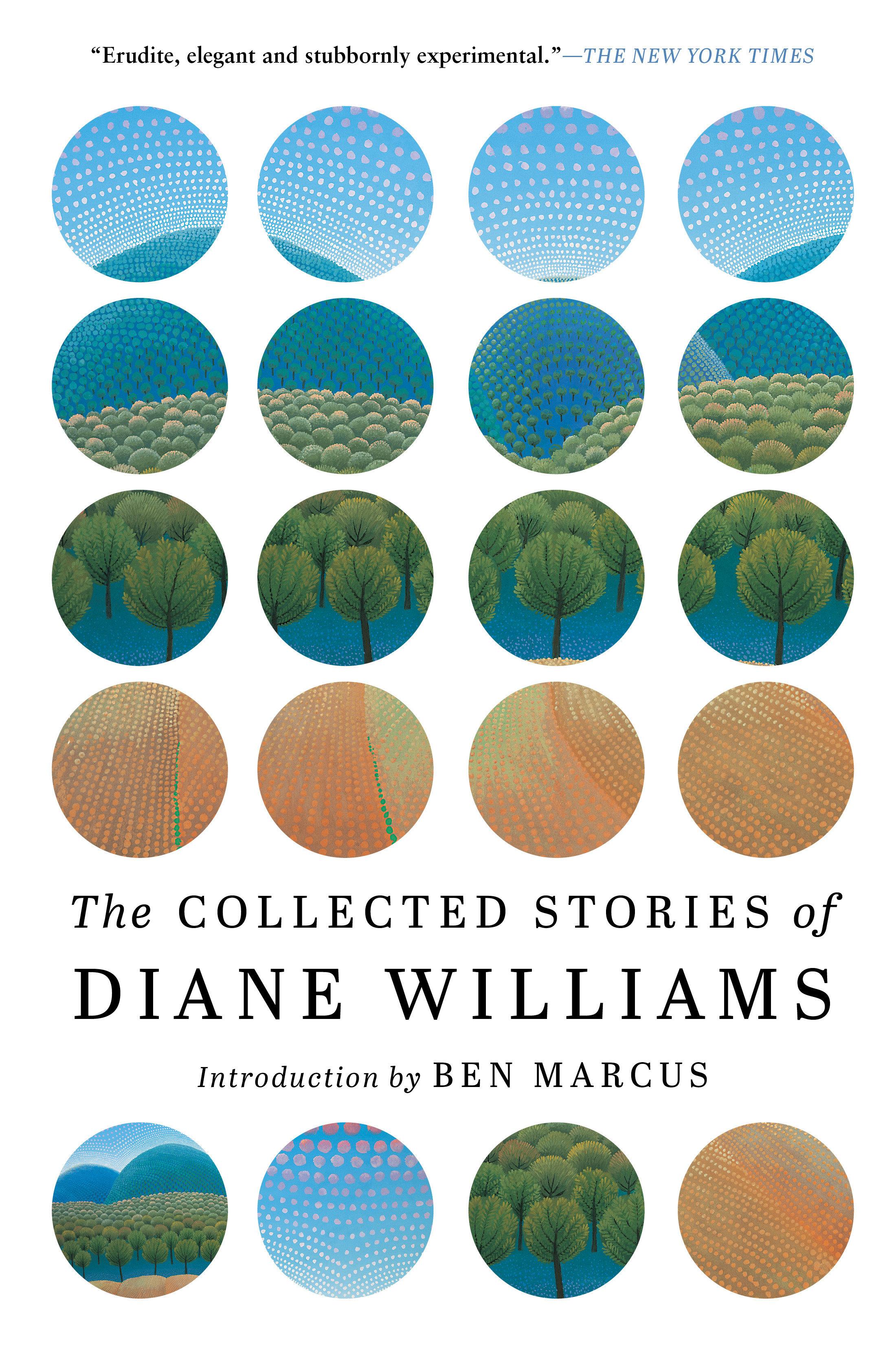 Vorderes Coverbild The Collected Stories of Diane Williams