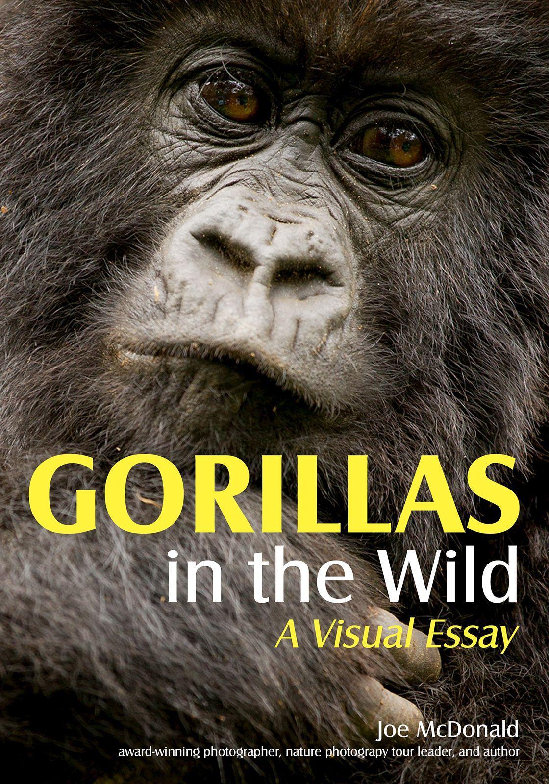 Vorderes Coverbild Gorillas in the Wild
