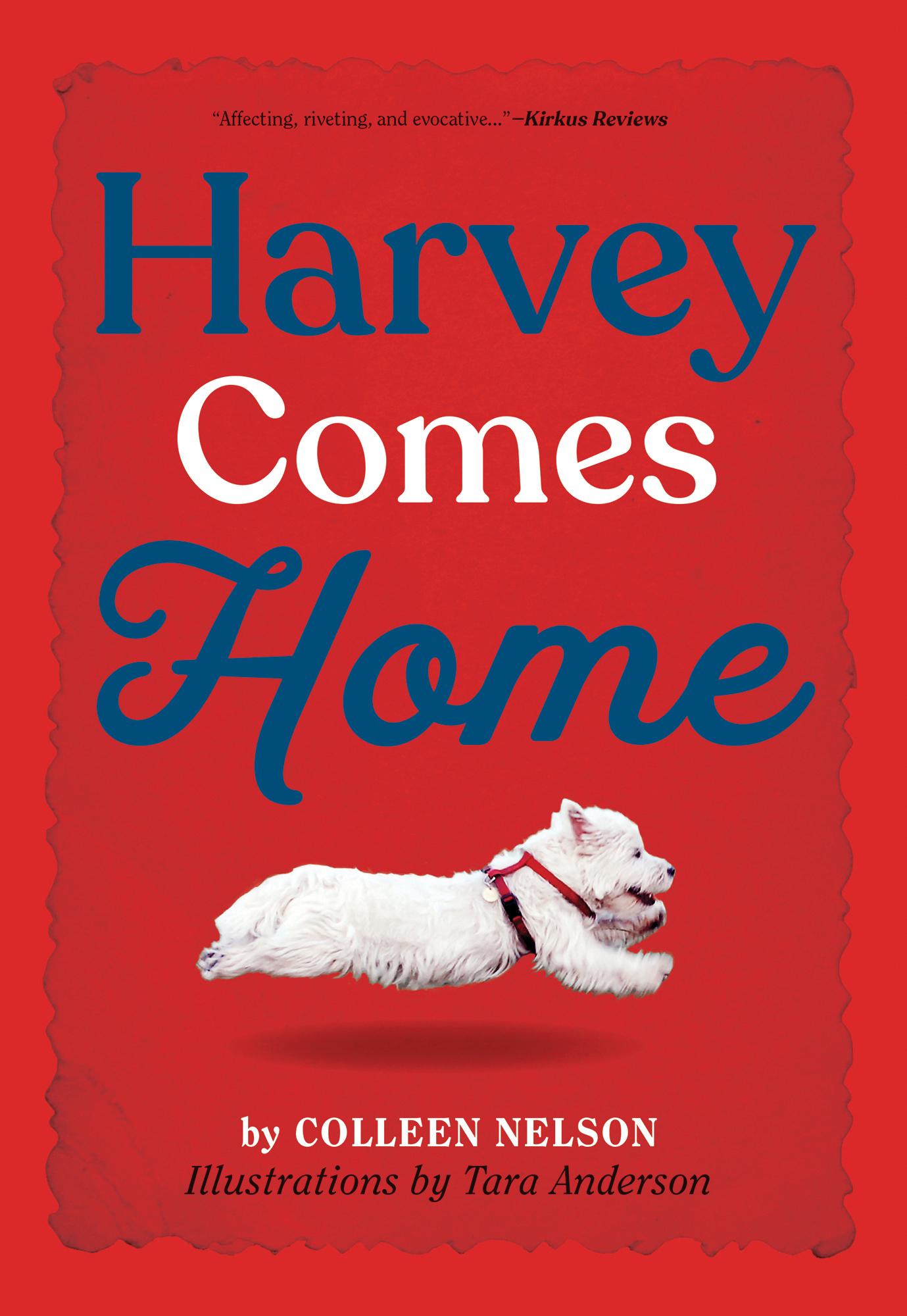 Vorderes Coverbild Harvey Comes Home
