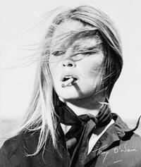 Vorderes Coverbild Terry O'Neill