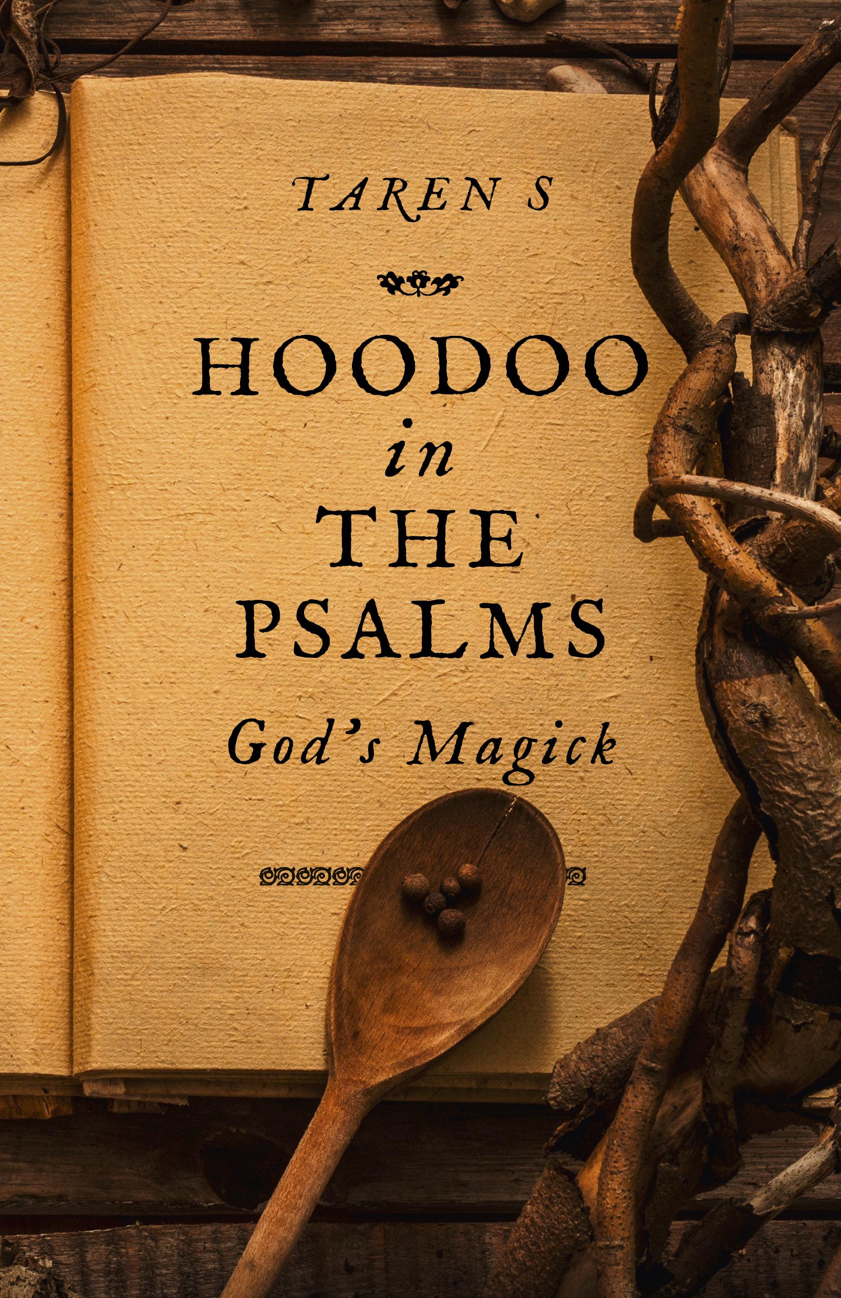 Vorderes Coverbild Hoodoo in the Psalms