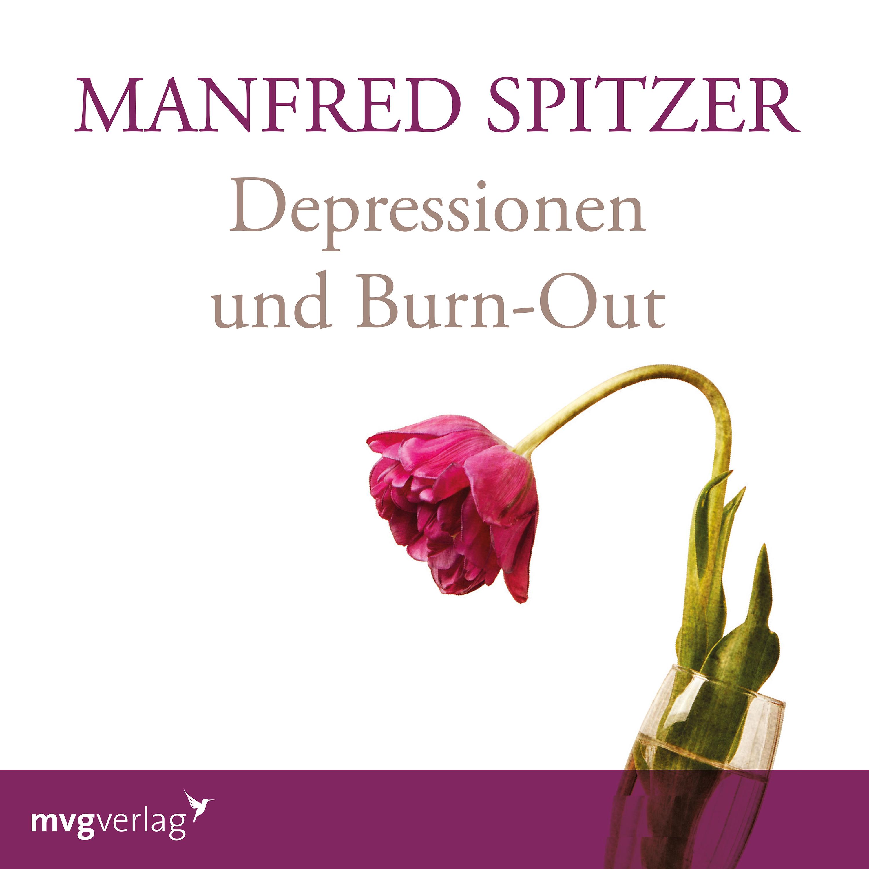 Vorderes Coverbild Depressionen und Burn-Out