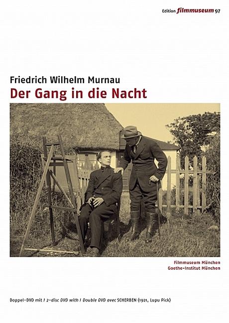 Vorderes Coverbild Der Gang in die Nacht